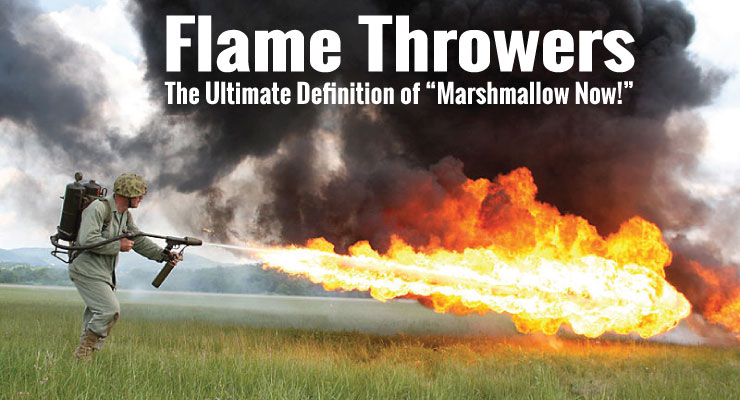 Never Roast Marshmallows With A Flame Thrower | Top 10 Bad Content Creation Plans